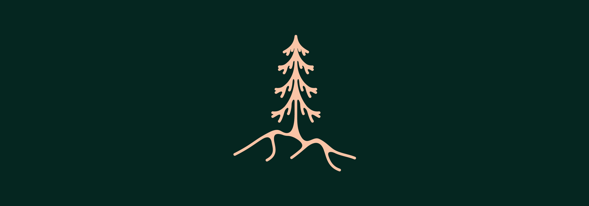 pine tree illustration