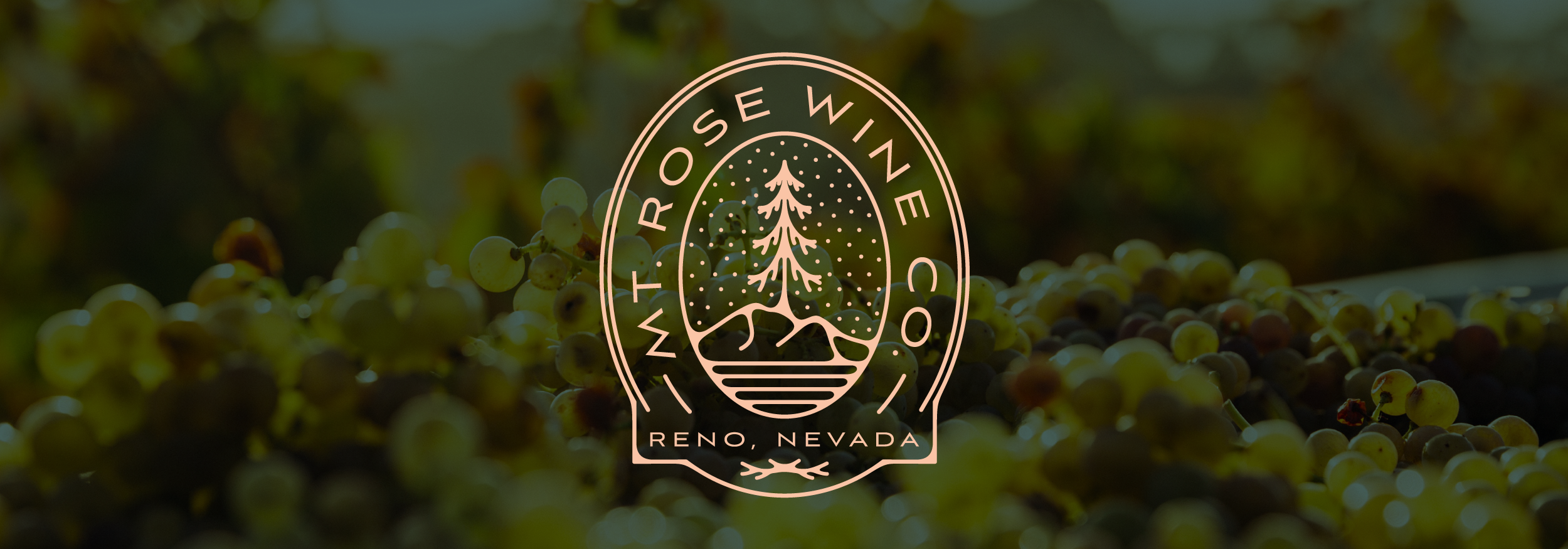 logo for wine company