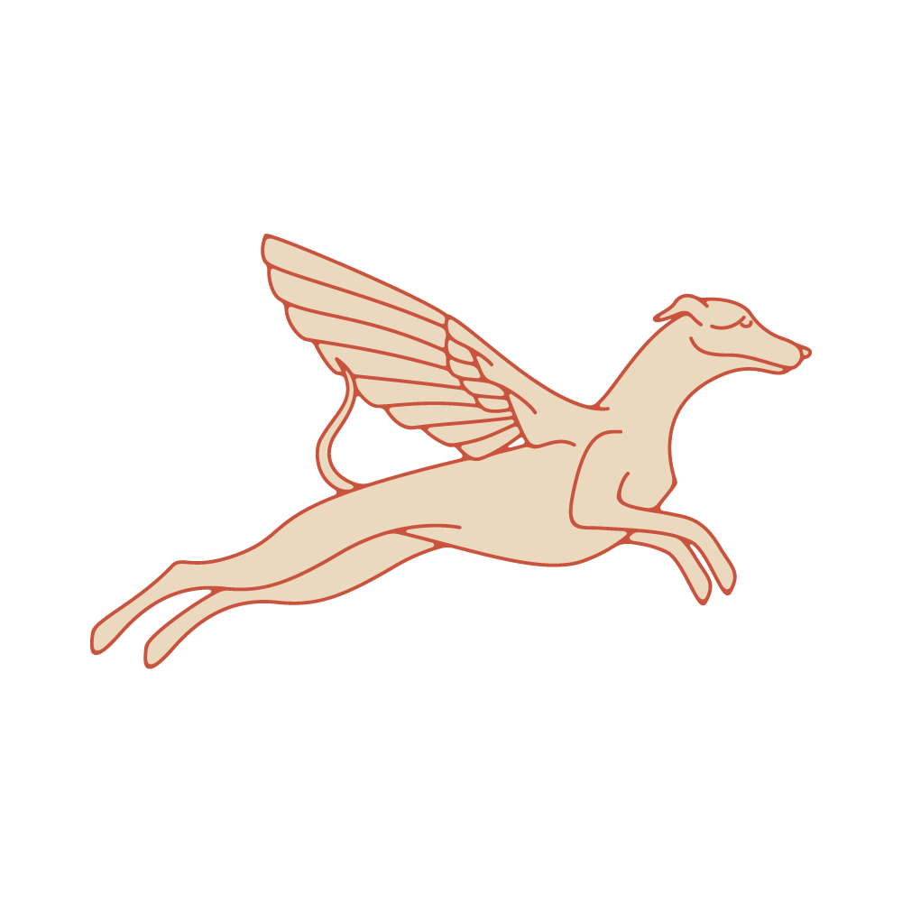 flying dog illustration